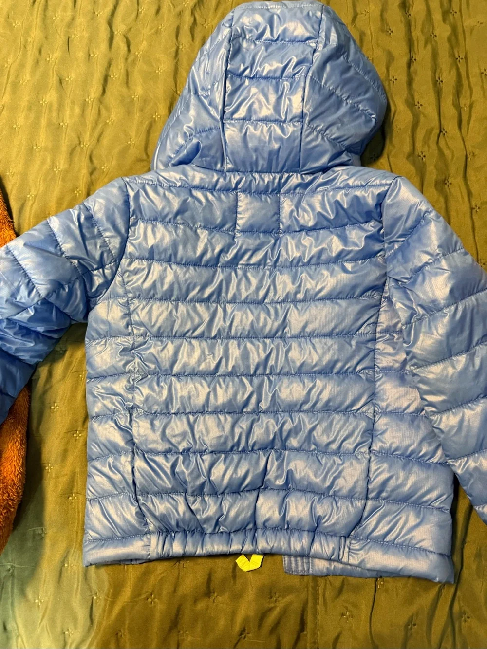 Primary Blue Hooded Puffer Jacket - Blue